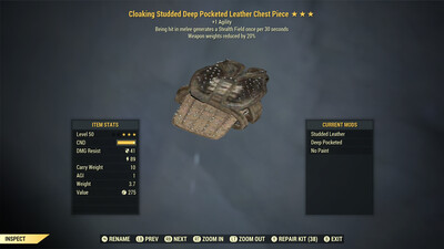 Cloaking Leather WWR C
