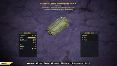 Chameleon Combat +1S Cavalier LA