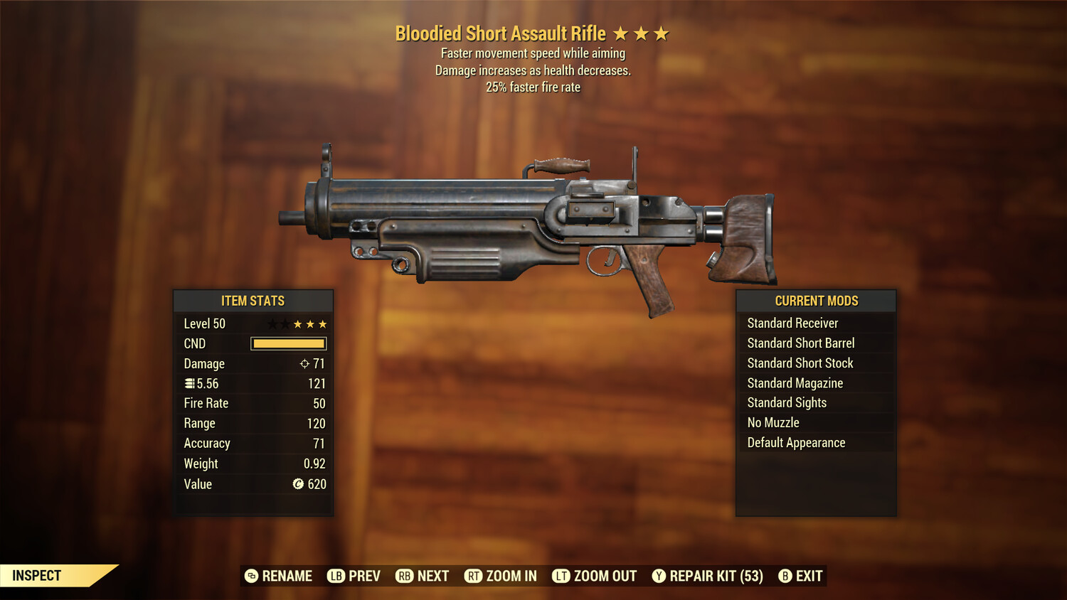 Bloodied 25/FMS Assault Rifle