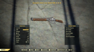 Assassins 10/90 Lever Action