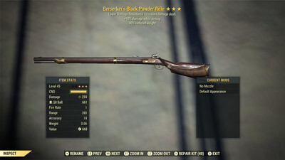 Berserker 10/90 Black Powder Rifle