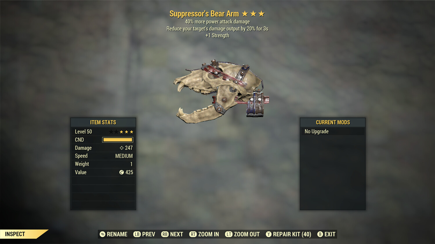 Suppressors Bear Arm