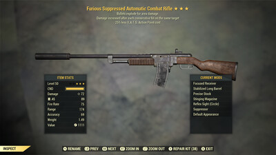 Furious Explosive 25 Combat Rifle