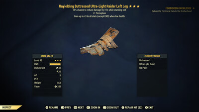 Unyielding Raider Sentinel LL