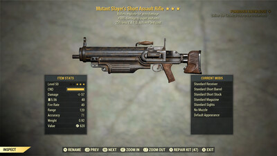 Mutants Explosive 25 Assault Rifle