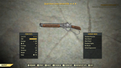 Quad 25/50 Lever Action Rifle 