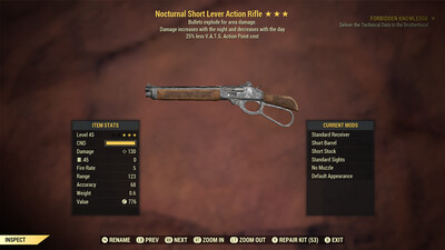 Nocturnal Explosive 25 Lever Action