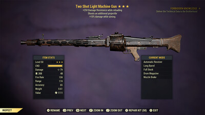 Two Shot 10/250 Light Machine Gun