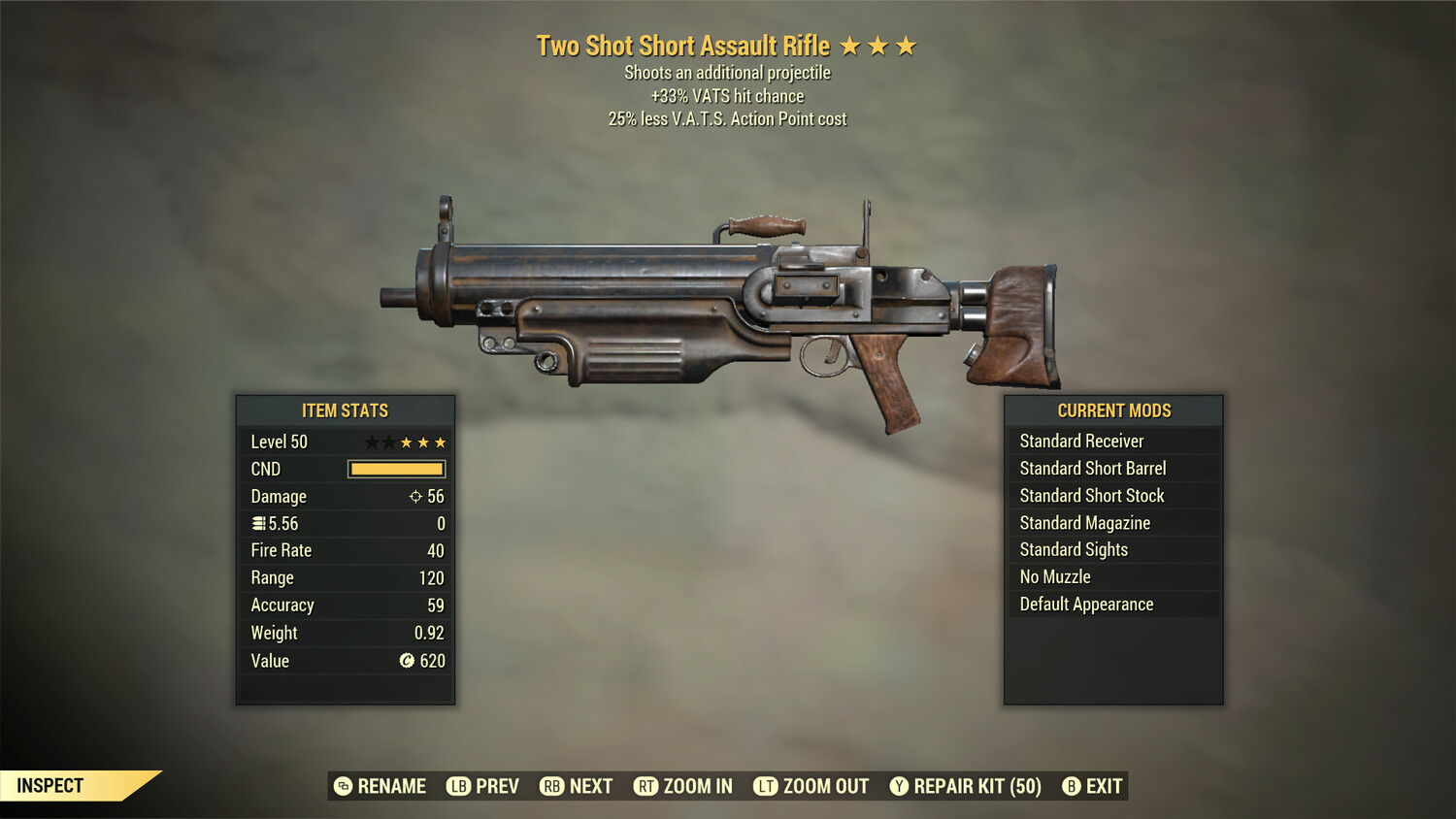 Two Shot 33/25 Assault Rifle