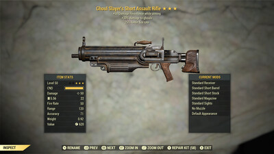 Ghoul Slayers 25/50 Assault Rifle