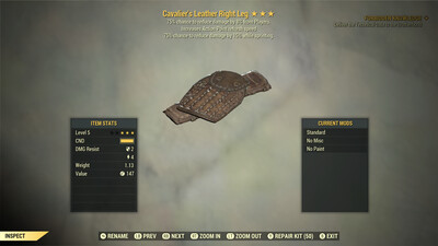 Assassins AP Cavalier Leather RL
