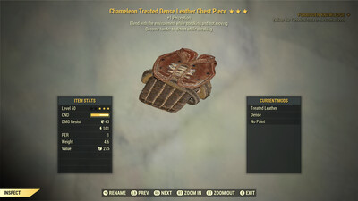 Chameleon Leather Sneak C