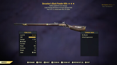 Berserkers Explosive 15 Black Powder Rifle