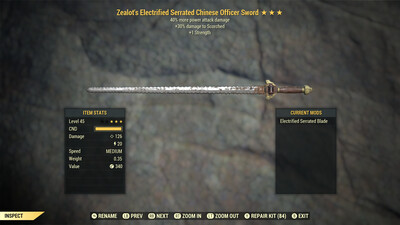 Zealots 1S SS Chinese Officer Sword