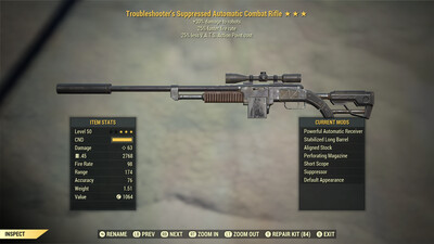 Troubleshooters 25/25 Combat Rifle