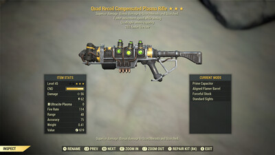 Quad 25 FMS Plasma Rifle