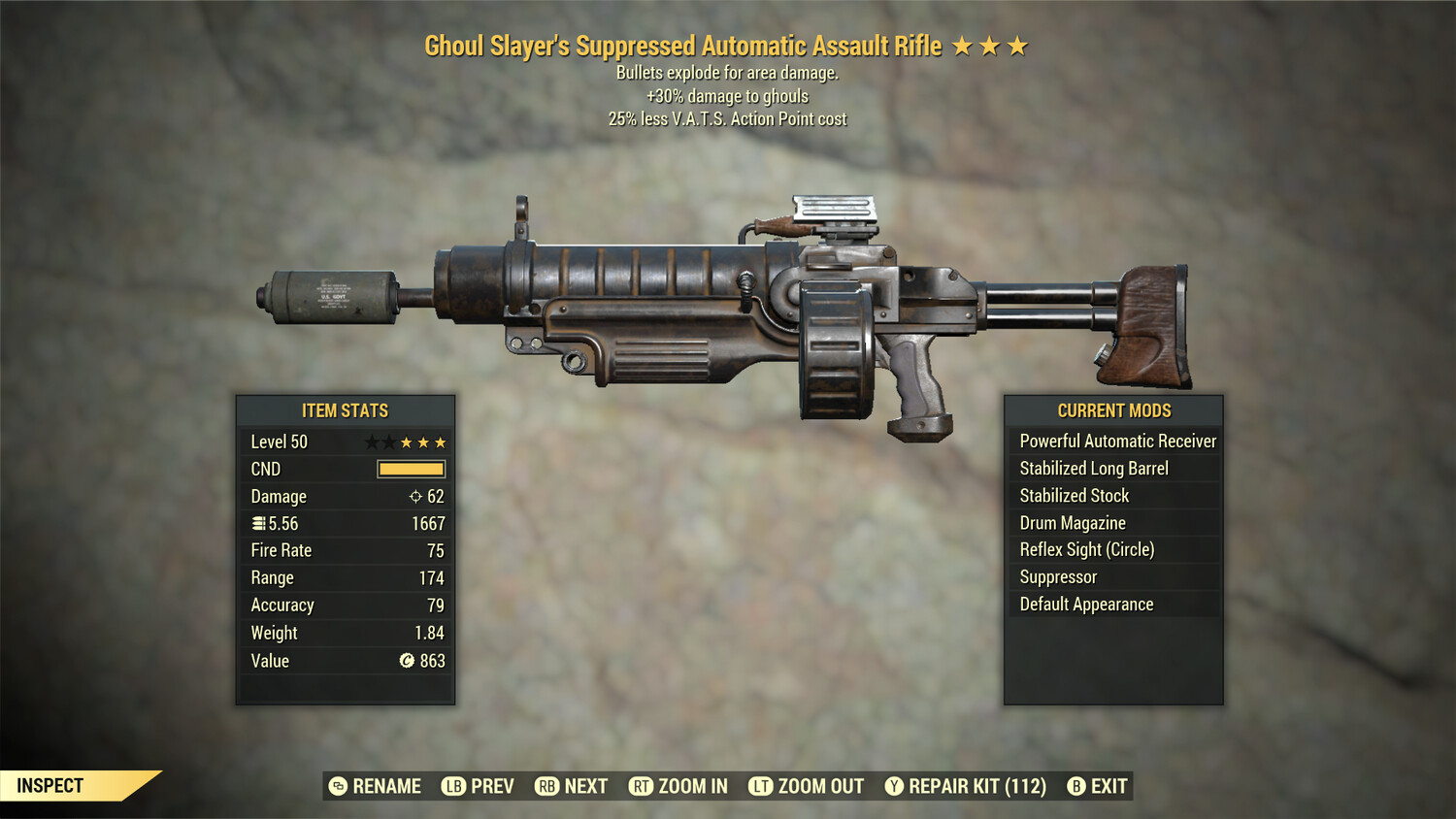 Ghouls Slayers Explosive 25 Assault Rifle