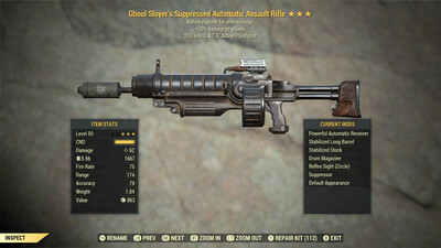 Ghouls Slayers Explosive 25 Assault Rifle