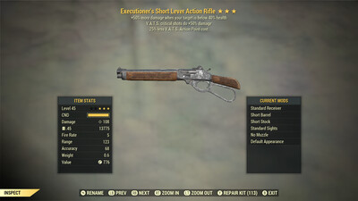 Executioners Explosive 25 Lever Action Rifle