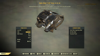 Auto Stim AP Dur T45 Torso