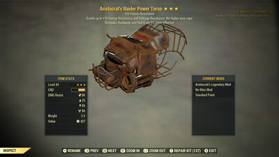 Aristocrat Pr Stim Raider Torso