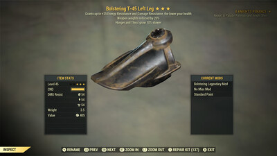 Bolstering Hunger WWR T45 Left Leg