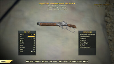 Juggernaut Explosive 25 Lever Action Rifle