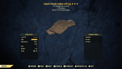 Zealots 1P -Limb Damage Leather LL Lvl 30