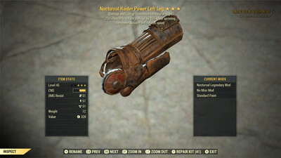 Nocturnal AP Cavalier Raider LL