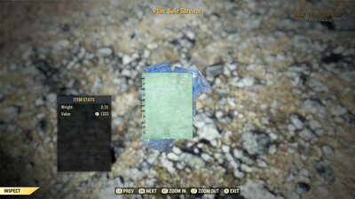 Sole Survivor