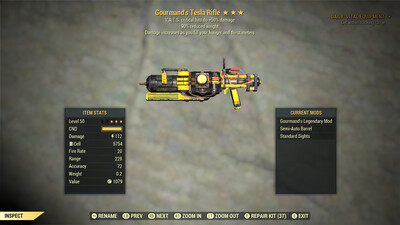 Gourmand 50/90 Tesla Rifle