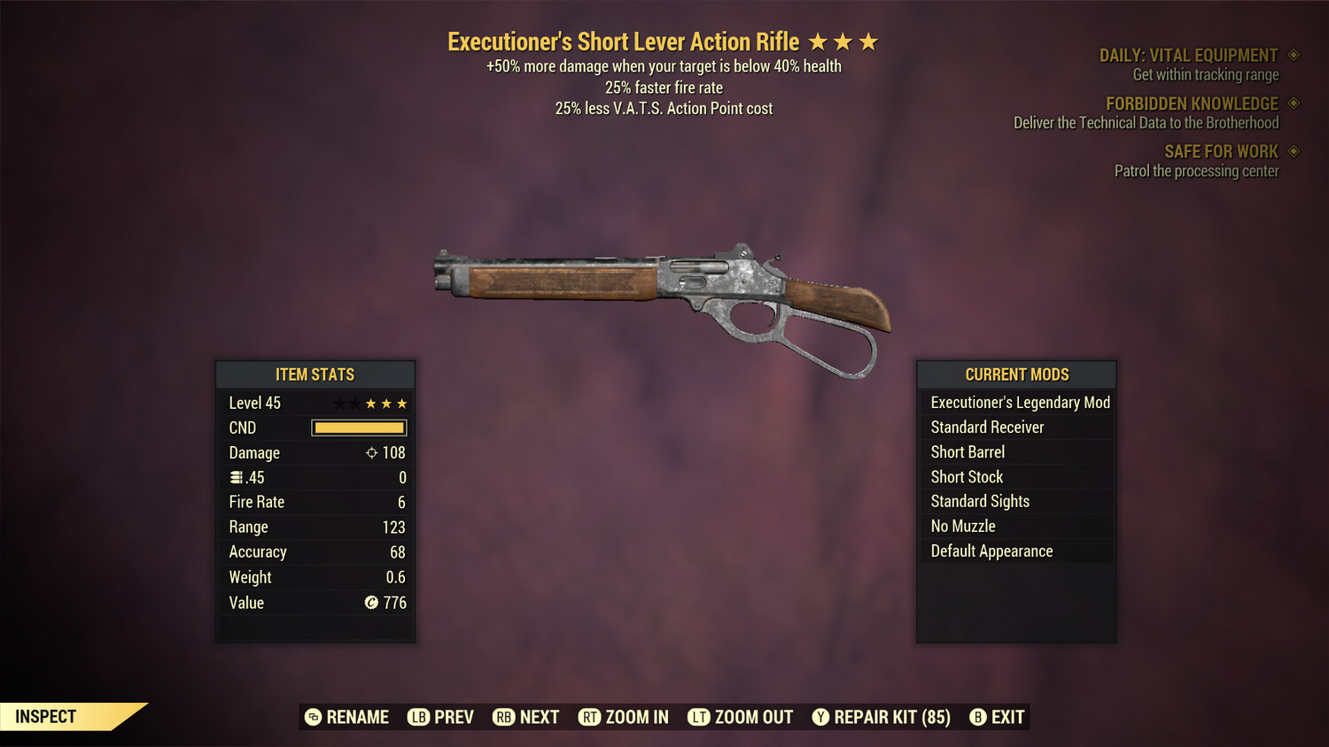 Executioners 25/25 Lever Action Rifle
