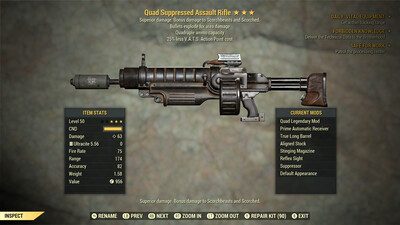 Quad Explosive 25 Assault Rifle