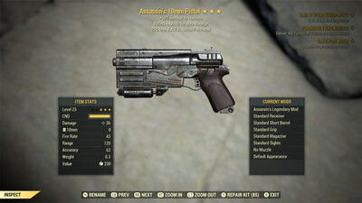 Assassin Explosive 25 10mm Pistol