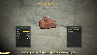 Junkie 50/25 Boxing Glove