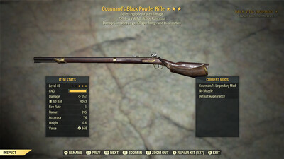 Gourmand Explosive 25 Black Powder Rifle