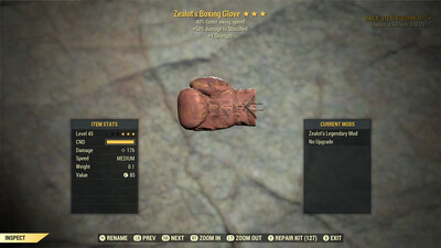 Zealots 1S/SS Boxing Glove