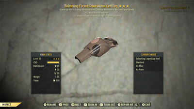 Bolstering RR/Cavalier F Scout LL