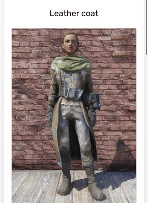 Leather Coat (0.01% Drop Chance)