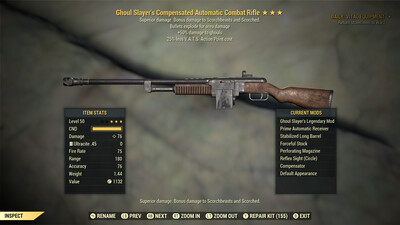 Ghoul Slayers Explosive 25 Combat Rifle