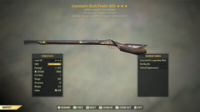 Gourmand Explosive 25 Black Powder Rifle