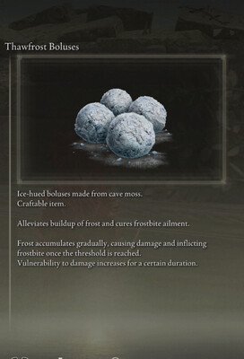 Thaw frost Blouses X99