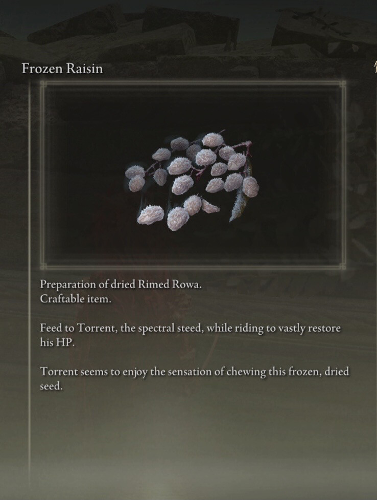 Frozen Raisin X30