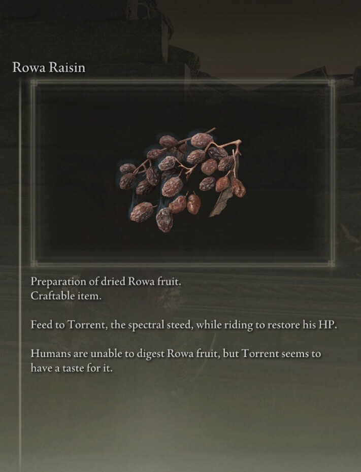 Rowa Raisin X30