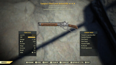Vampire Explosive 25 Lever Action Rifle