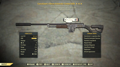 Executioners Explosive 25 Combat Rifle