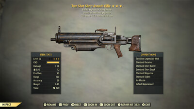 Two Shot Explosive 25 Assault Rifle