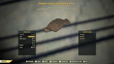 Weightless Radiation/WWR Leather RL