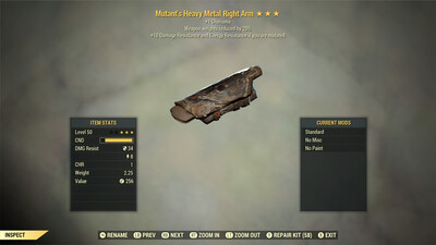Mutant 1C/WWR Metal RA