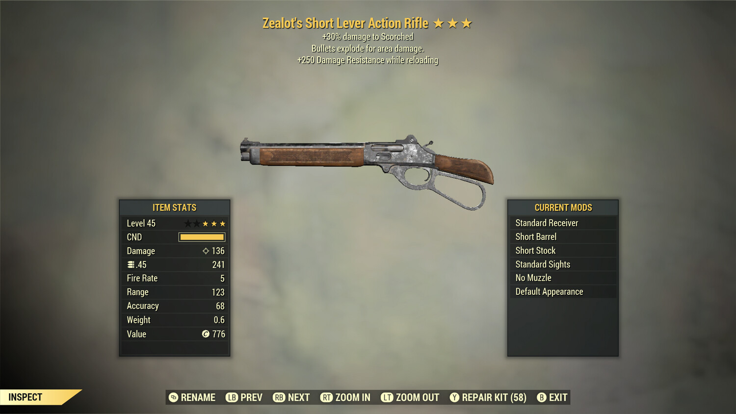 Zealots Explosive 25 Lever Action Rifle